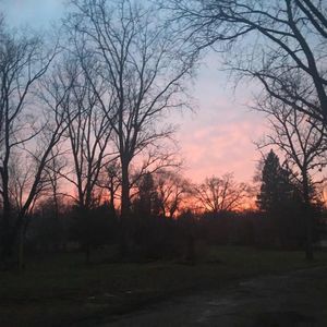 Meet your Posher, Maddy